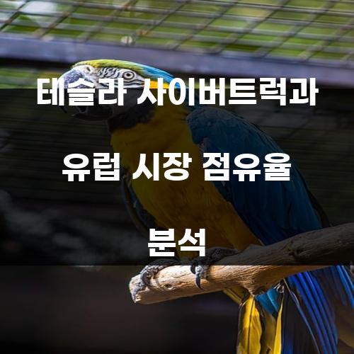 테슬라 사이버트럭과 유럽 시장 점유율 분석