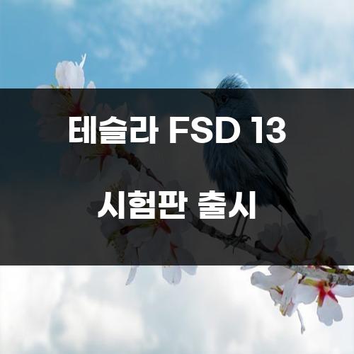 테슬라 FSD 13 시험판 출시