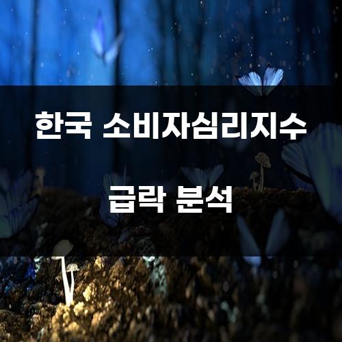 한국 소비자심리지수 급락 분석