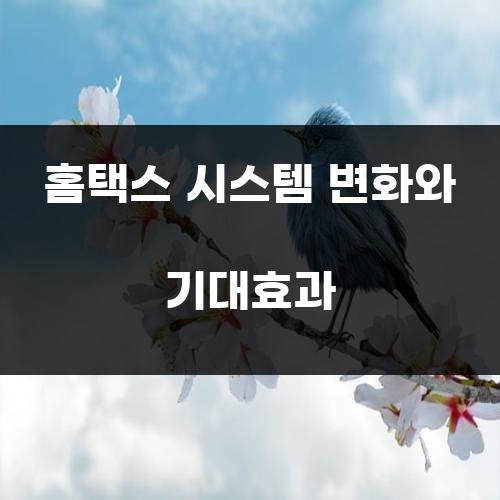 홈택스 시스템 변화와 기대효과