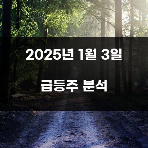 2025년 1월 3일 급등주 분석