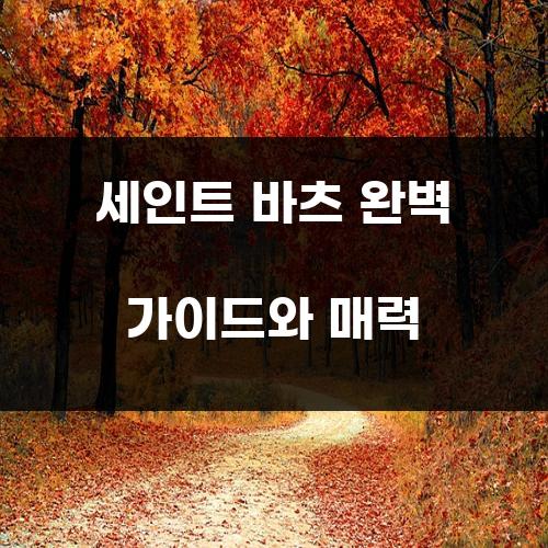 세인트 바츠 완벽 가이드와 매력