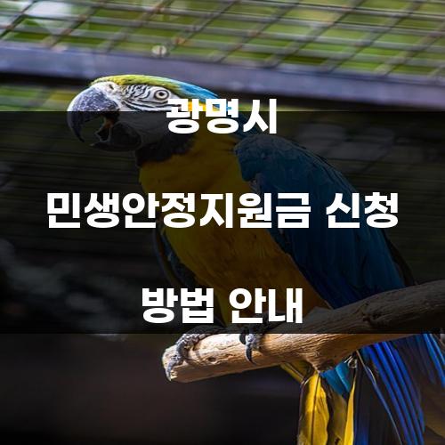 광명시 민생안정지원금 신청 방법 안내