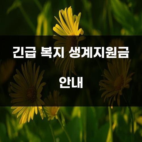 긴급 복지 생계지원금 안내