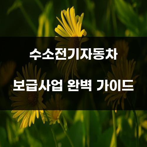 수소전기자동차 보급사업 완벽 가이드