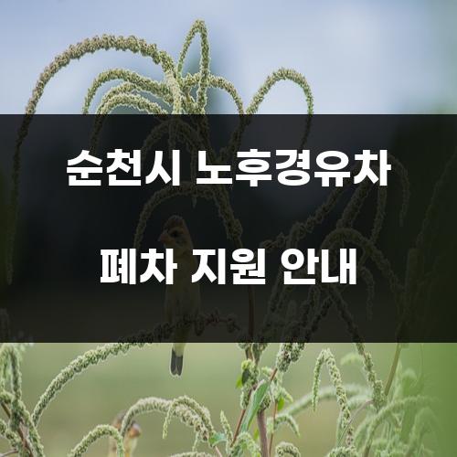 순천시 노후경유차 폐차 지원 안내