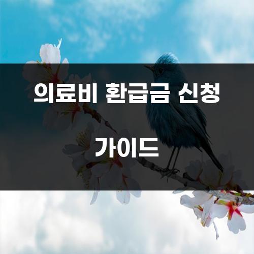 의료비 환급금 신청 가이드