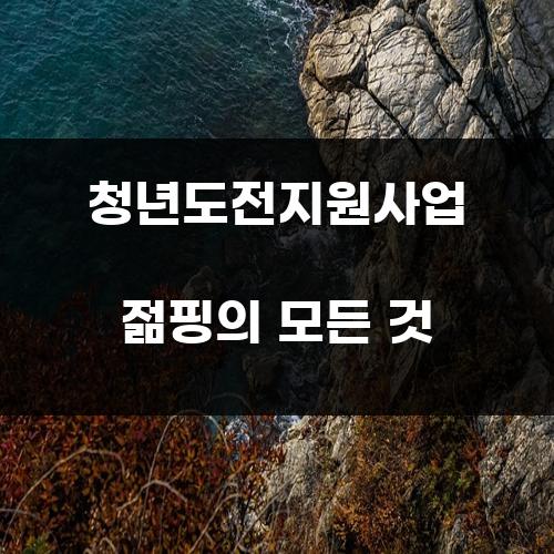 청년도전지원사업 젊핑의 모든 것